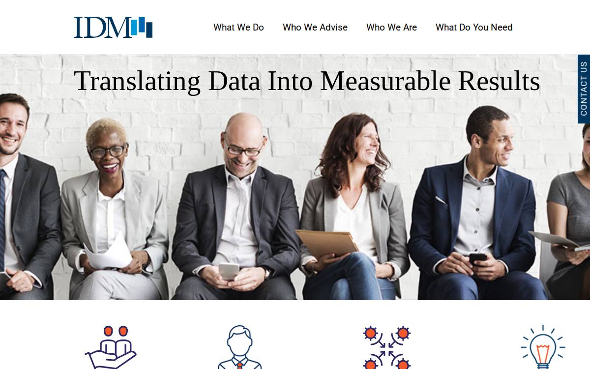 IDM Global website preview