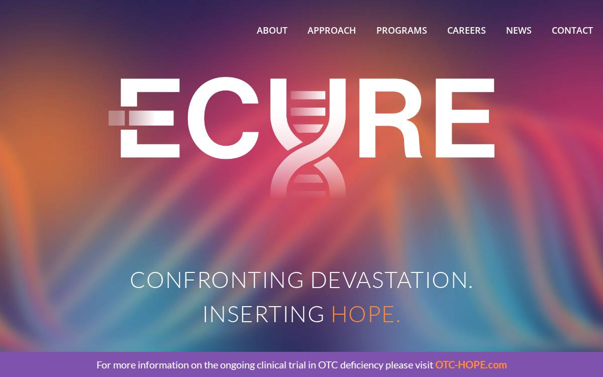 Iecure website preview