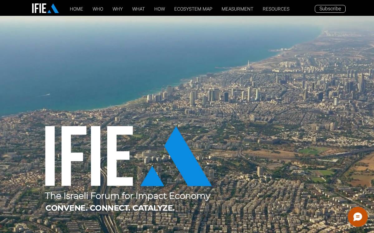 IFIE website preview