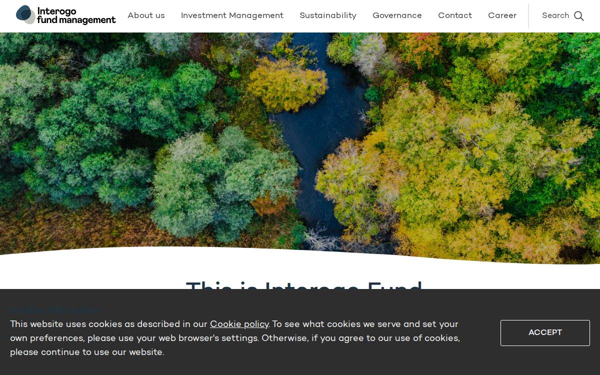 IFM website preview