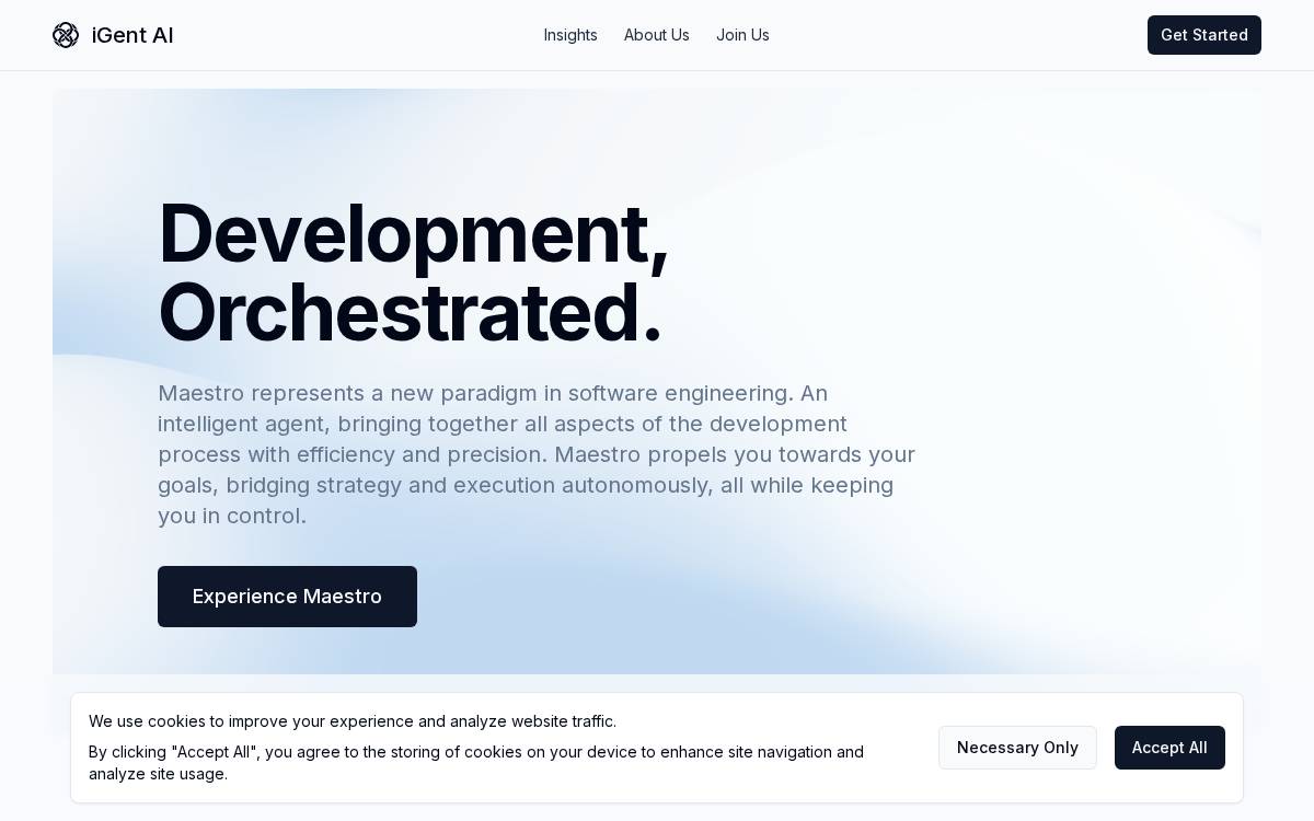 Igent website preview