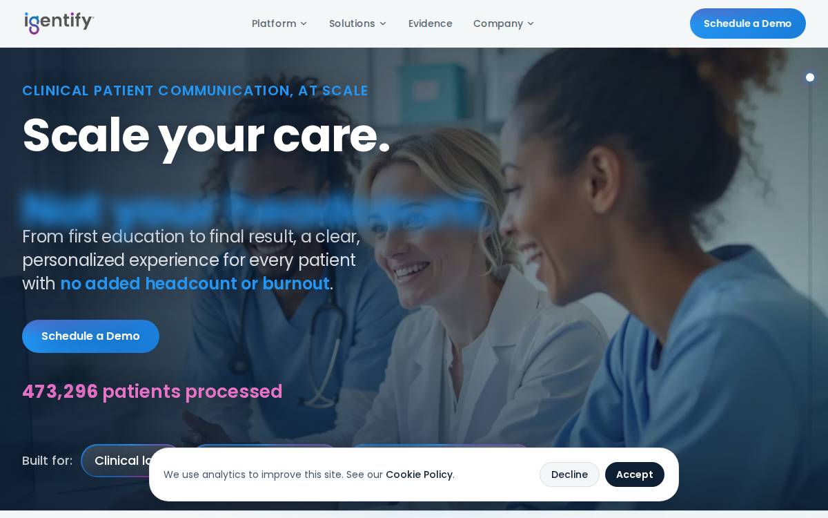 Igentify website preview