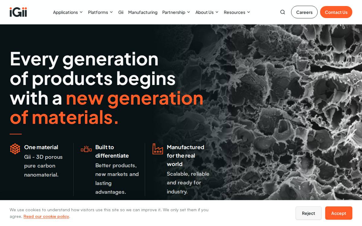 iGii website preview