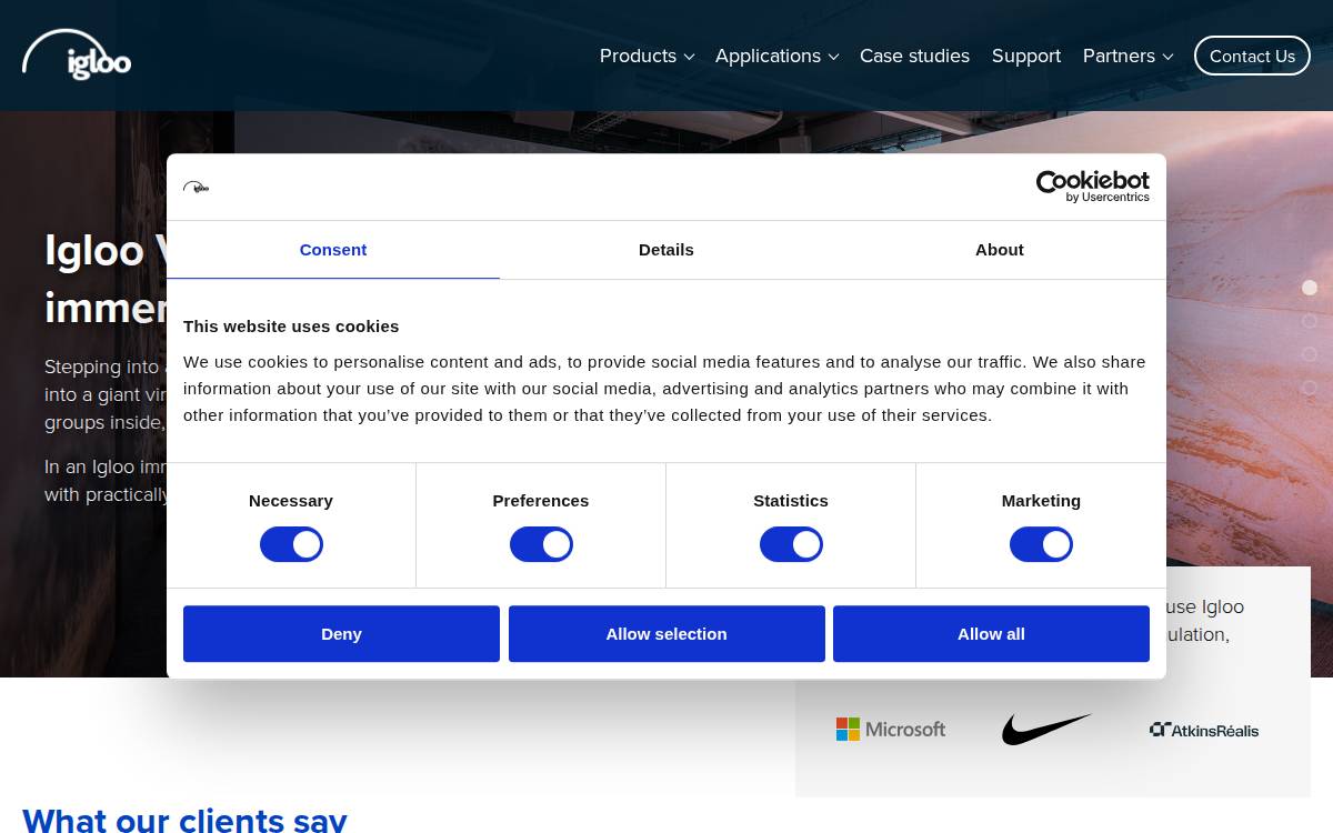 Igloo Vision website preview