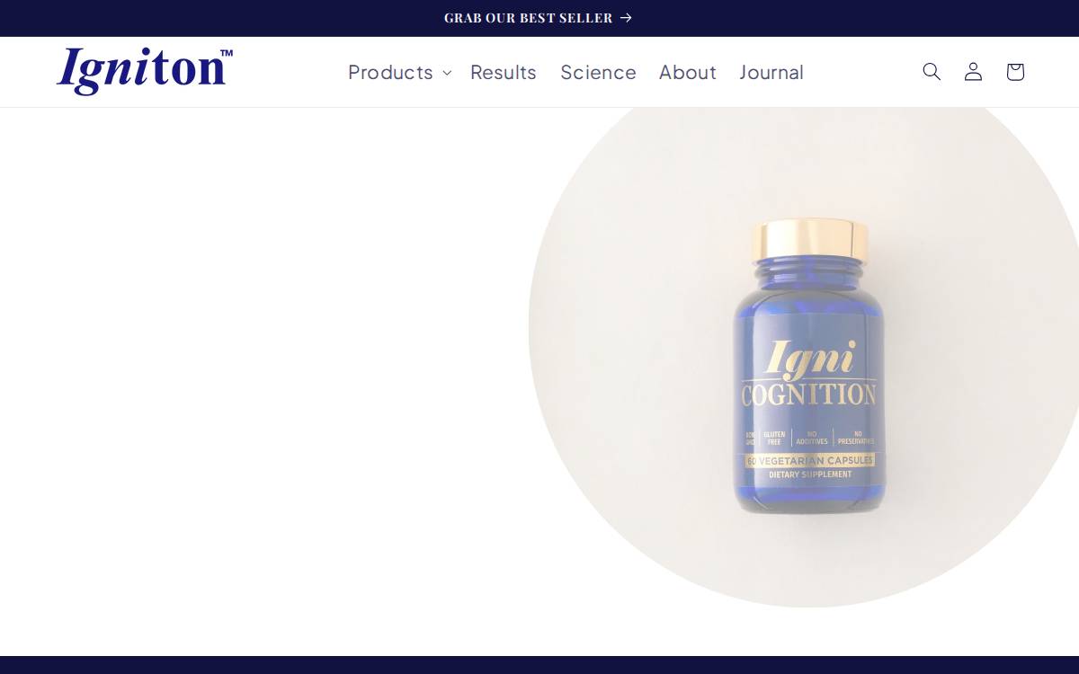 Igniton website preview