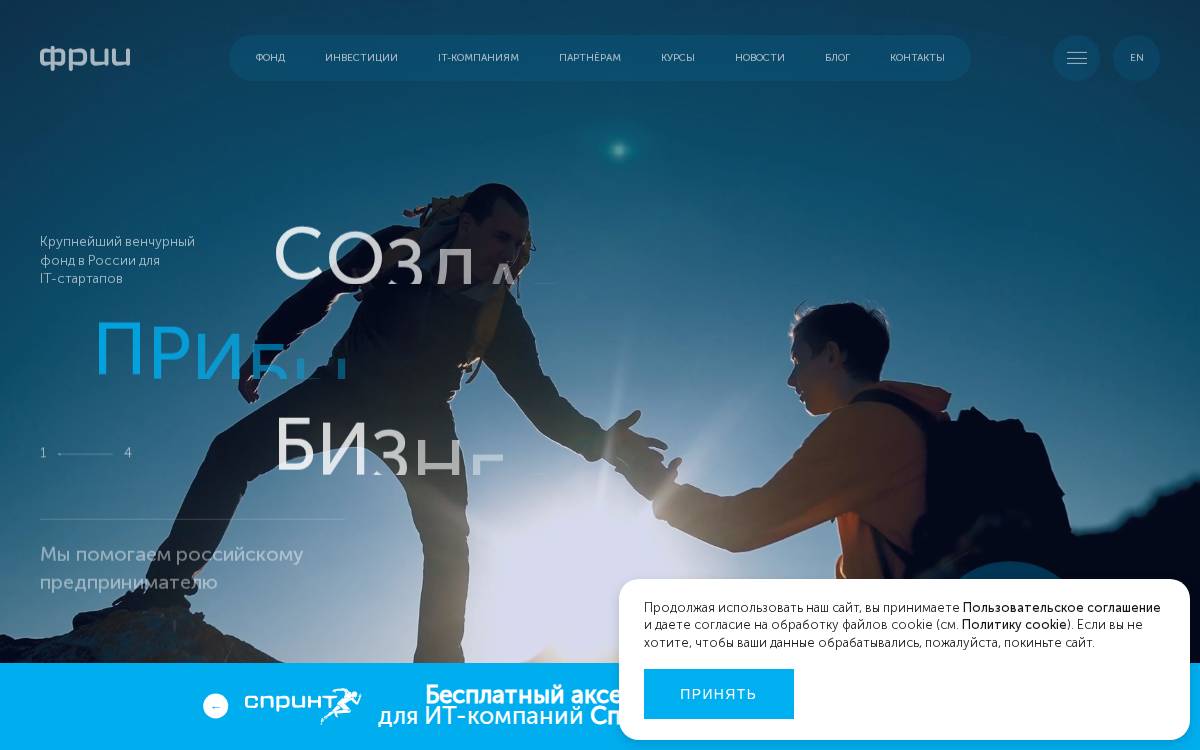 Iidf website preview