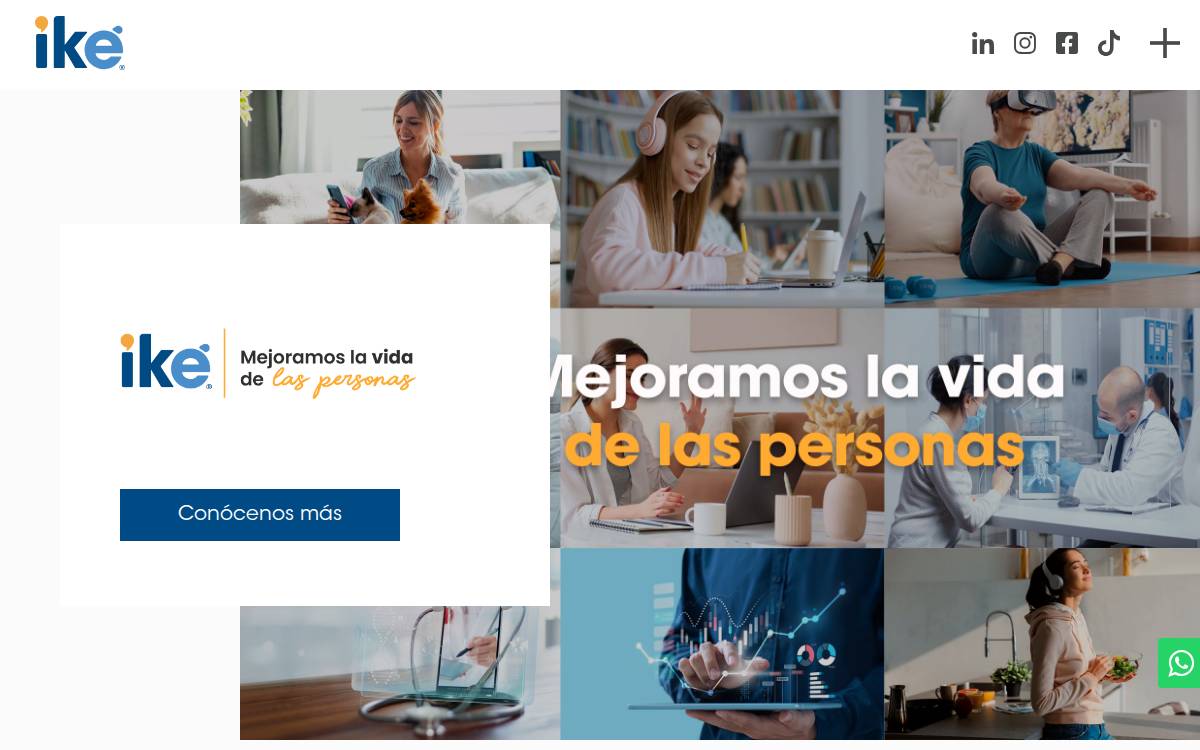 Ikeasistencia website preview