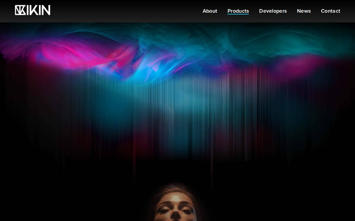 Ikin website preview