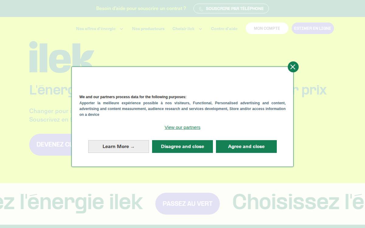 Ilek website preview