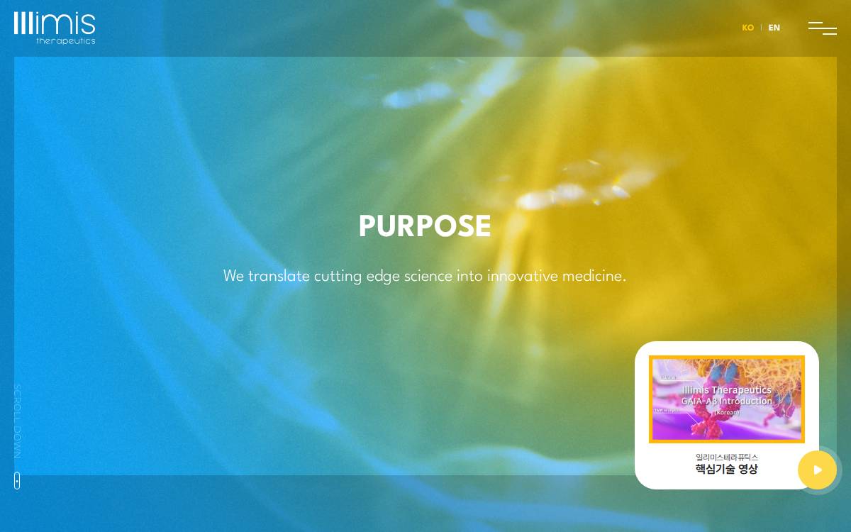 Illimistx website preview