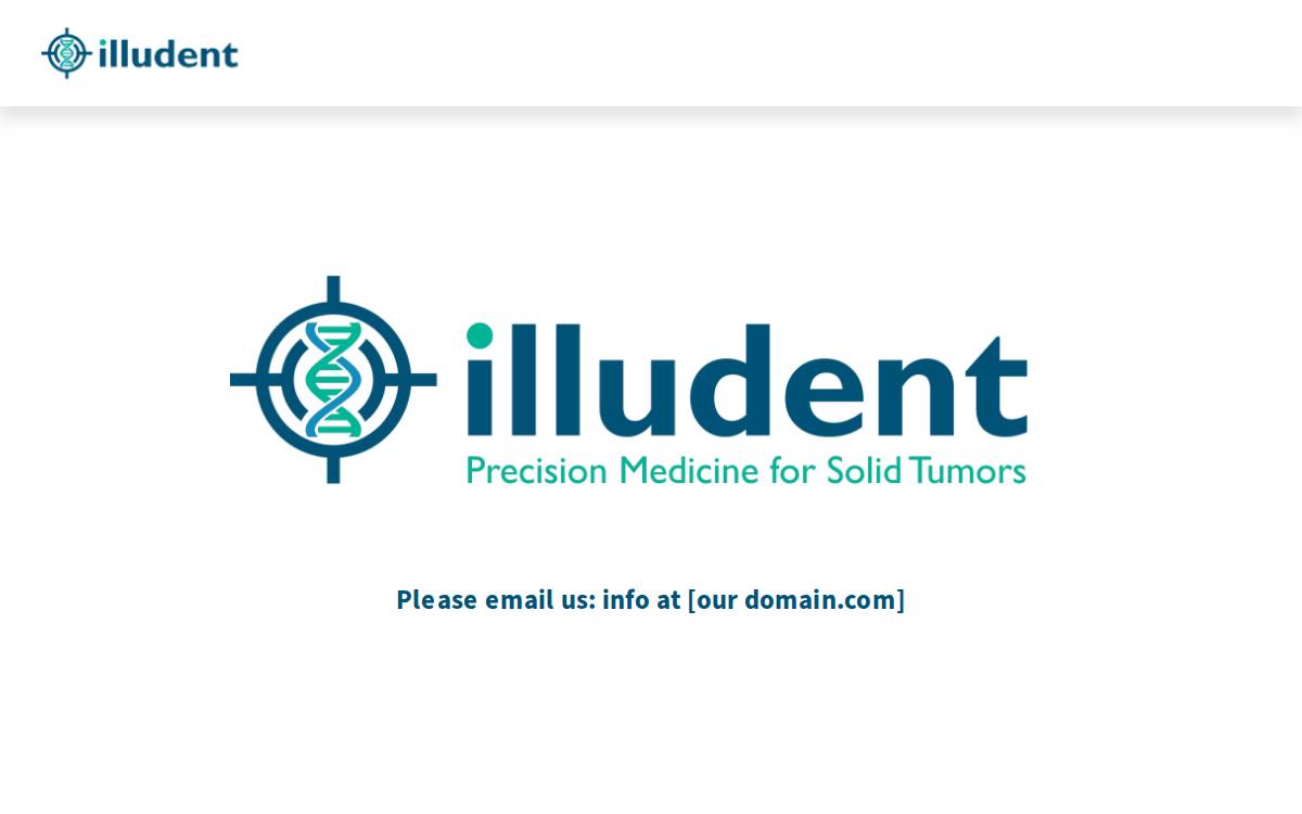Illudent website preview