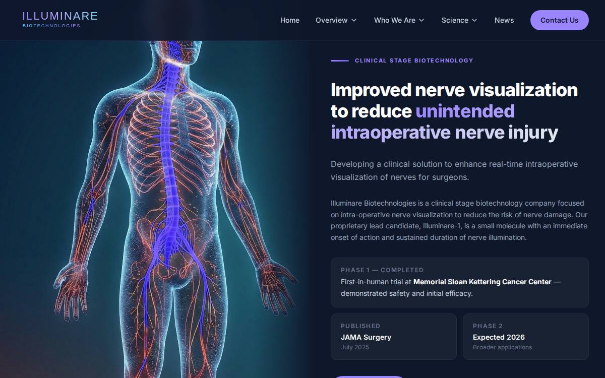 Illuminare website preview