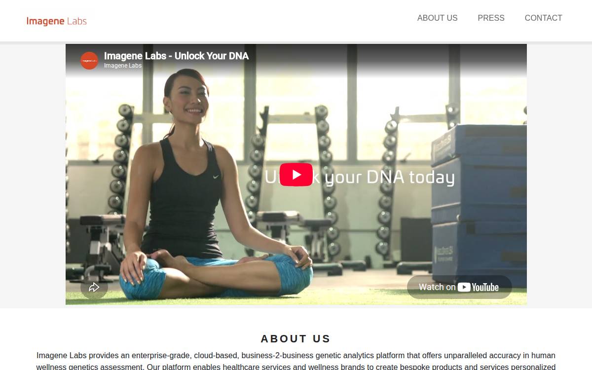 Imagenelabs website preview