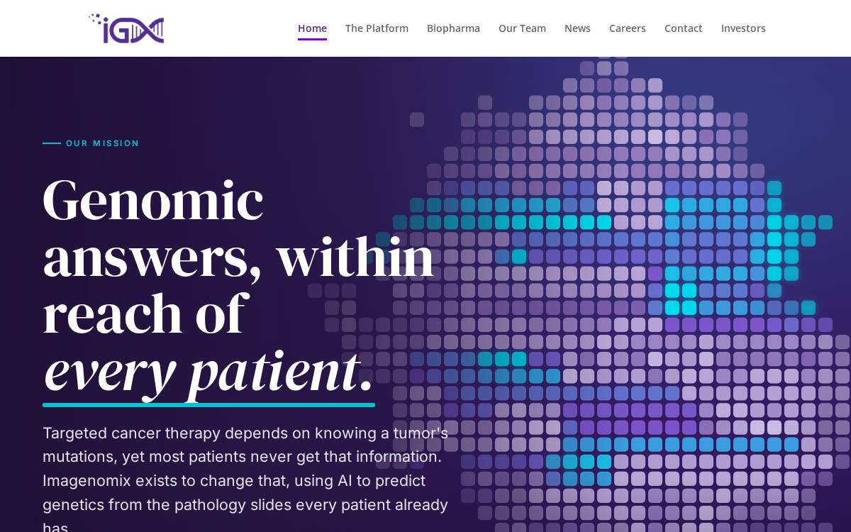 Imagenomix website preview