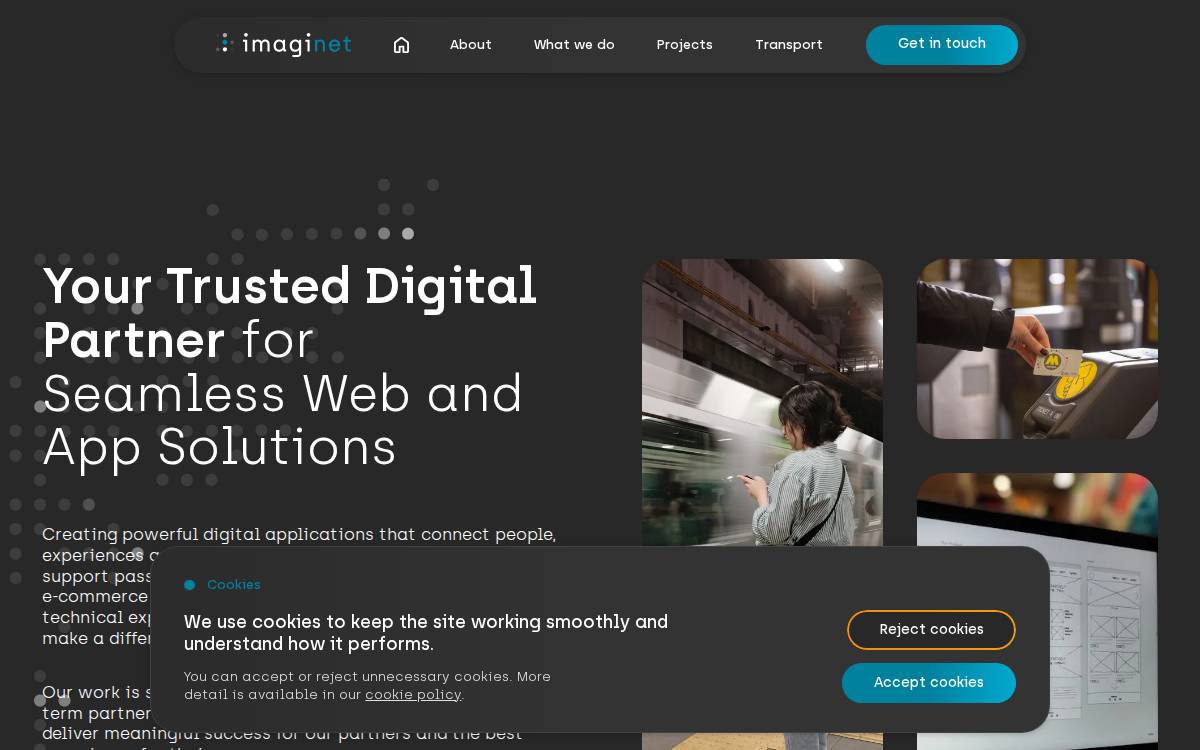 Imaginet website preview