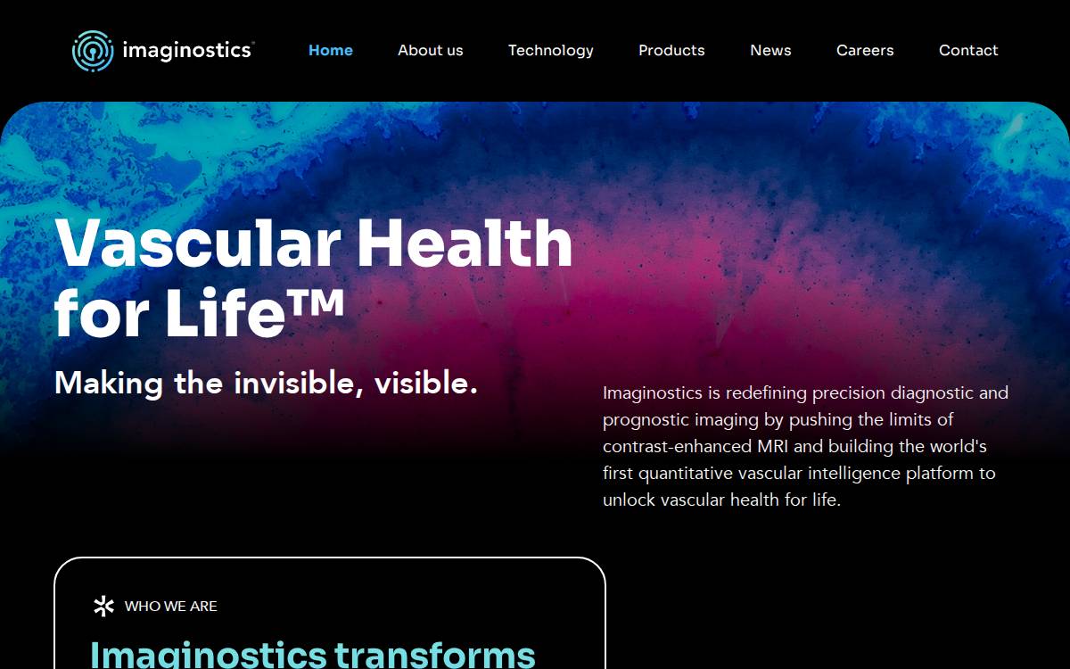 Imaginostics website preview