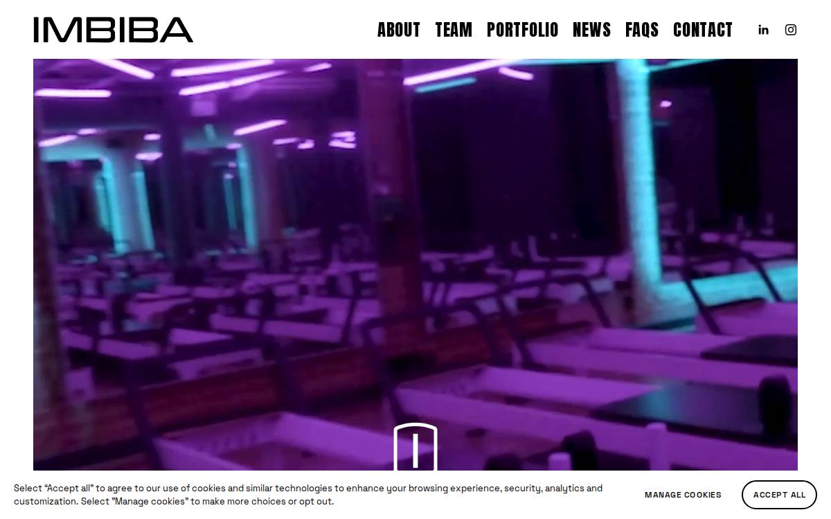 Imbiba website preview