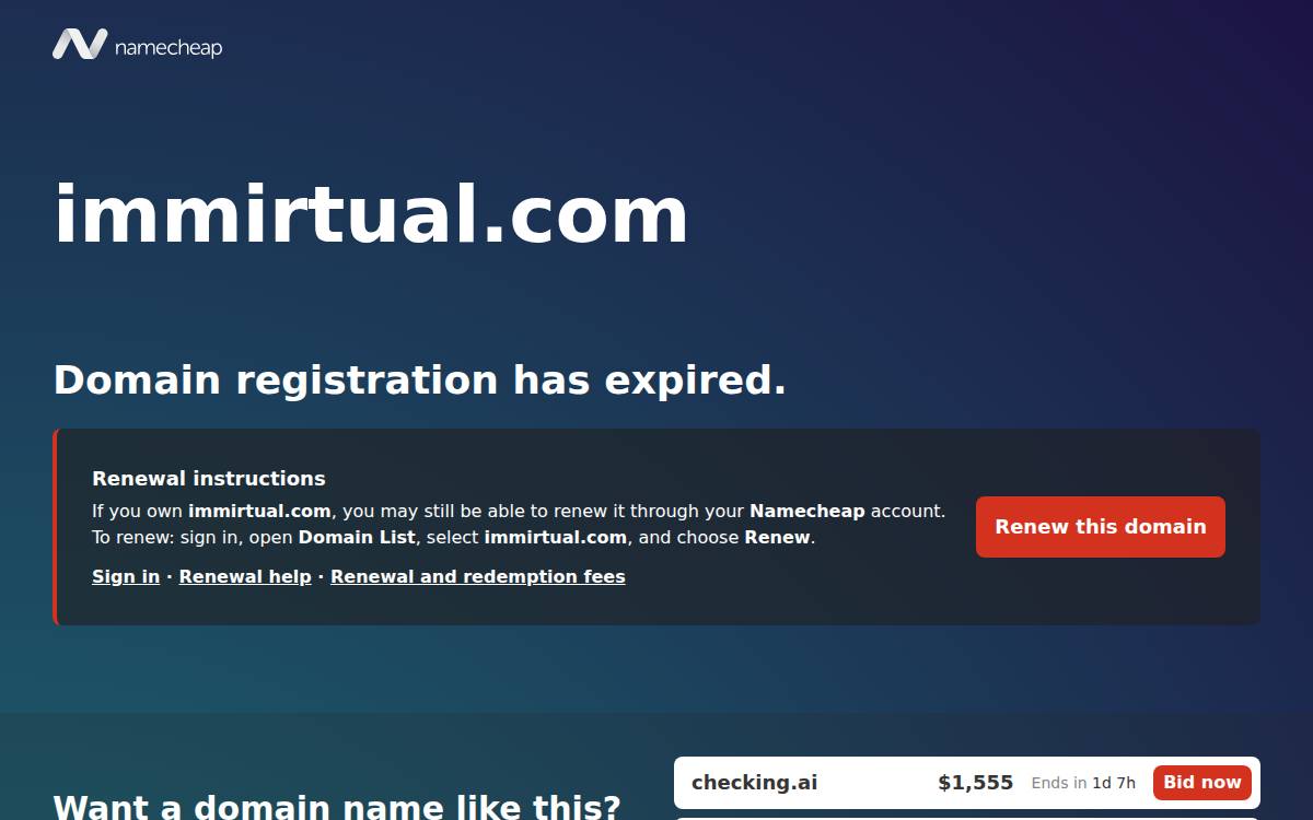 Immirtual website preview
