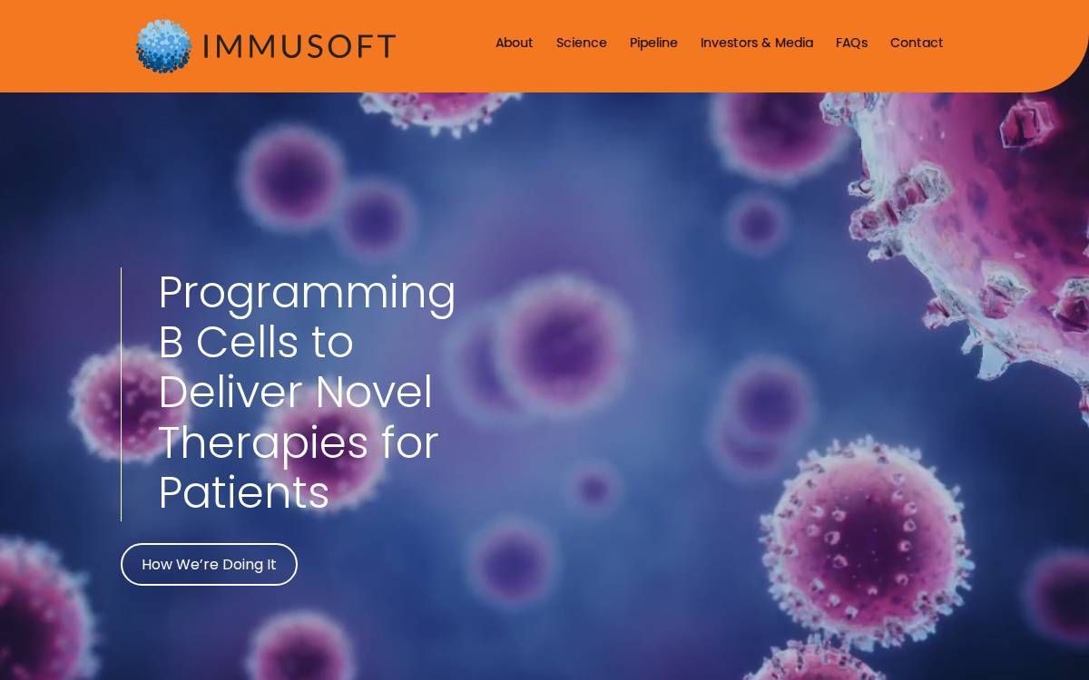 Immusoft website preview