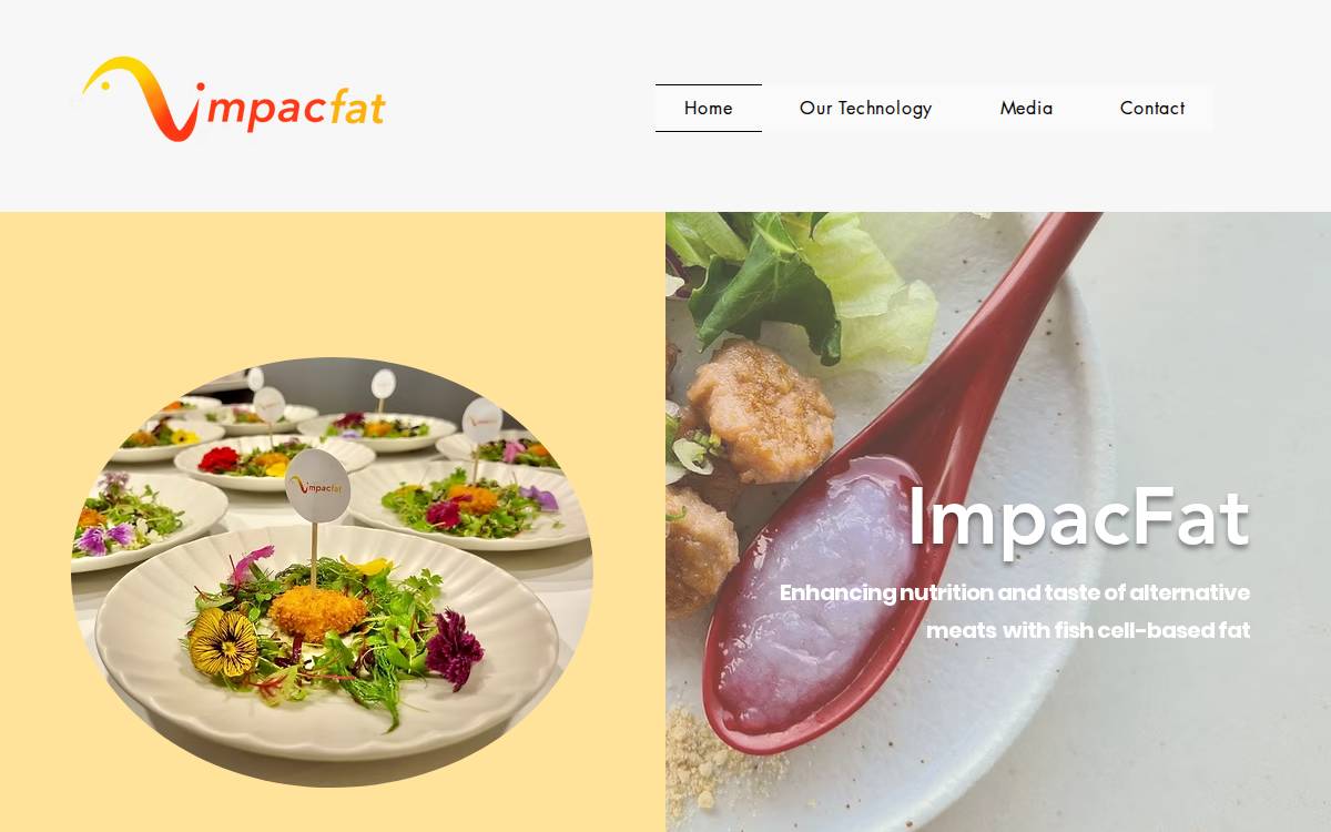 Impacfat website preview