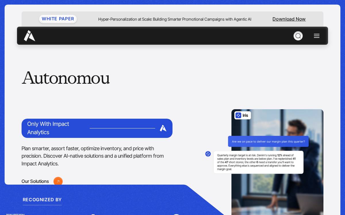 Impact Analytics website preview