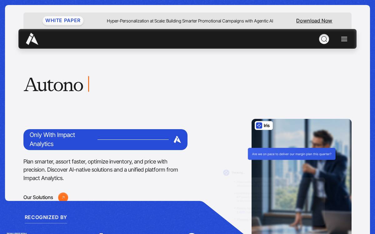 Impact Analytics website preview