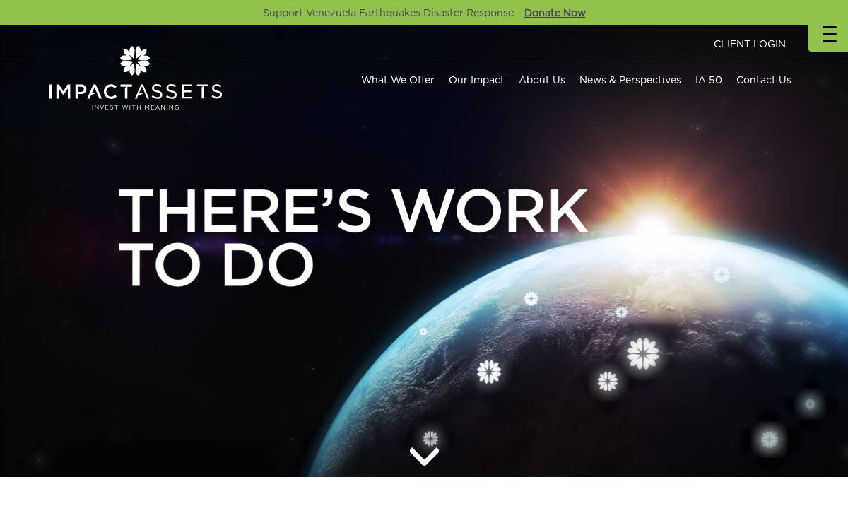 Impactassets website preview