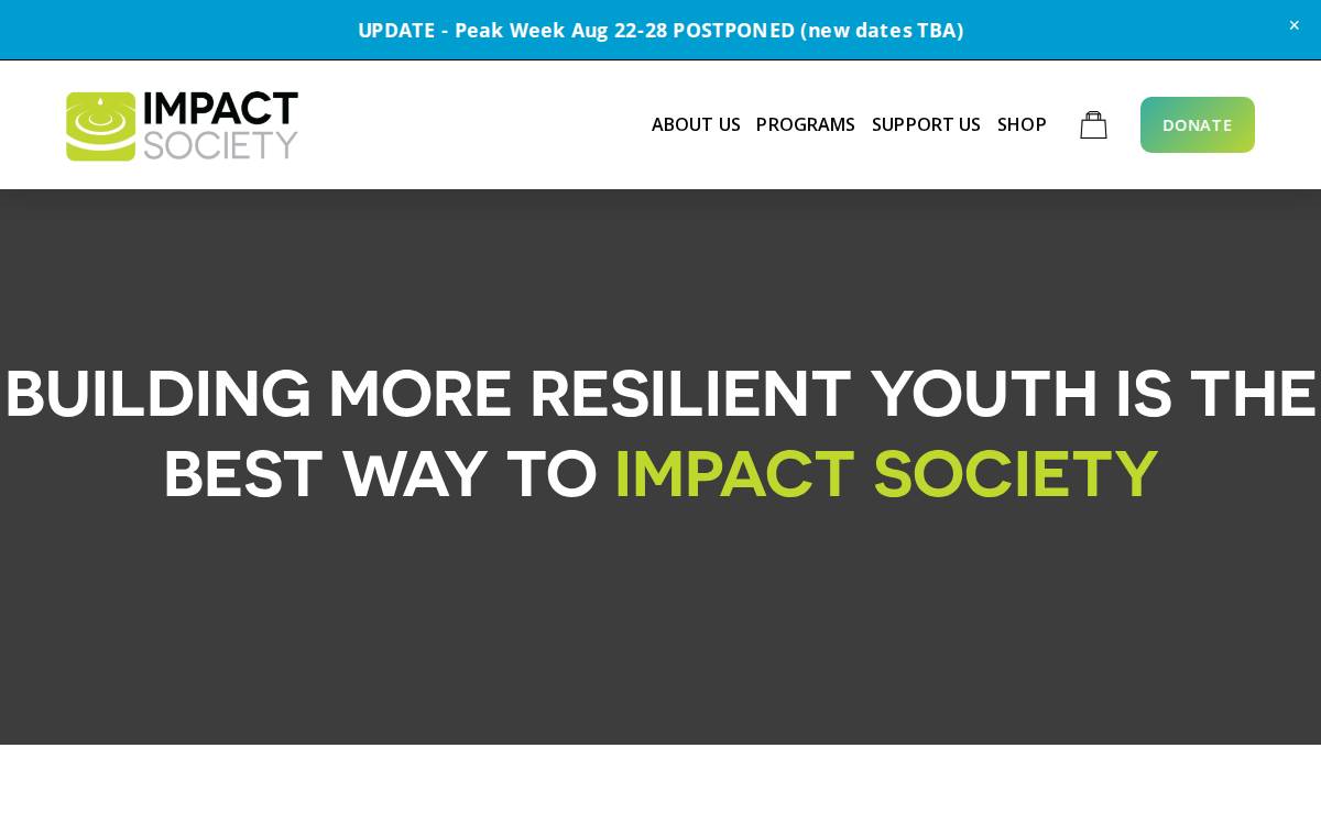 Impact Society website preview