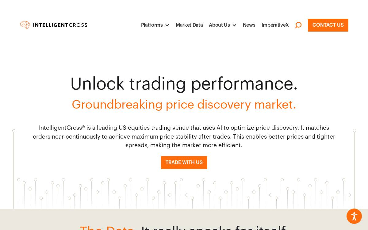 Imperative Execution website preview