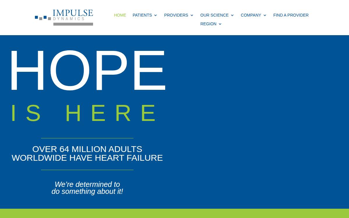 Impulse Dynamics website preview