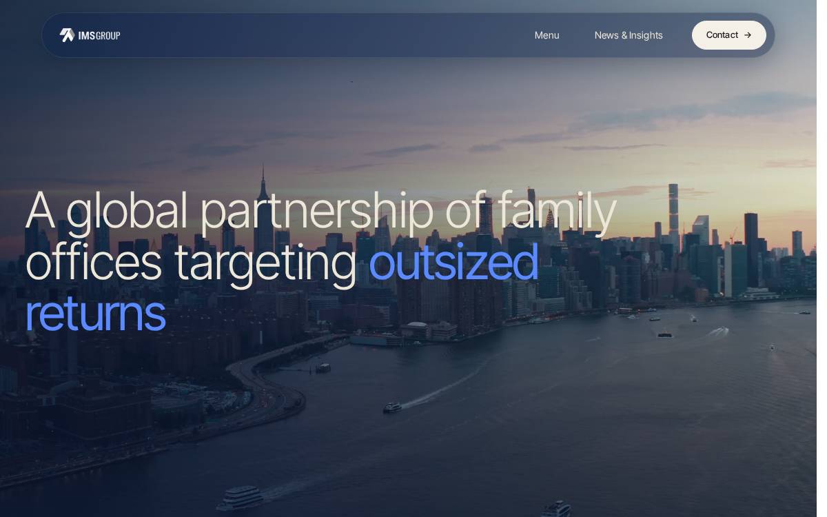 IMS Group website preview