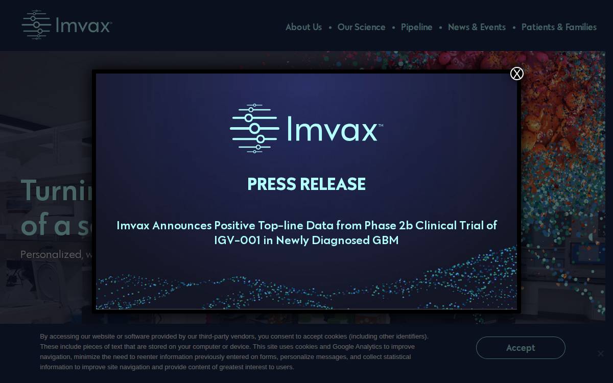Imvax website preview