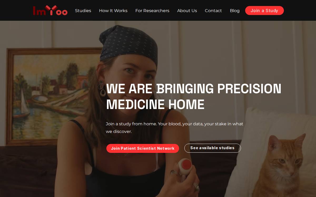 Imyoo website preview