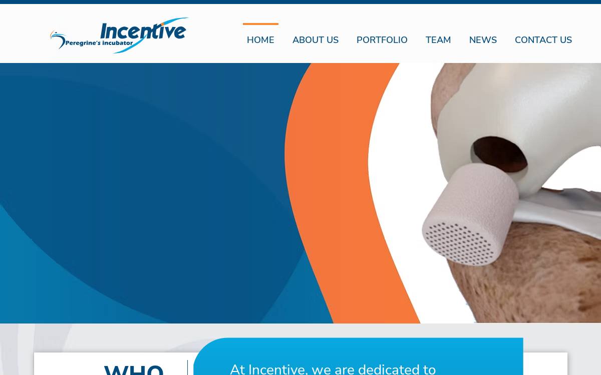Incentive website preview