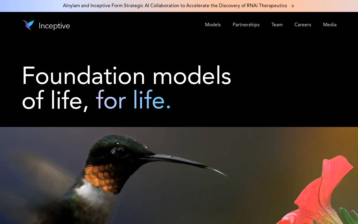 Inceptive website preview