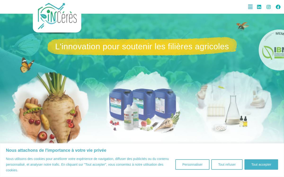 Inceres website preview