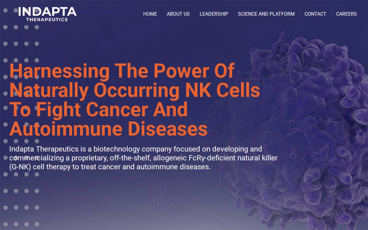 Indapta Therapeutics website preview