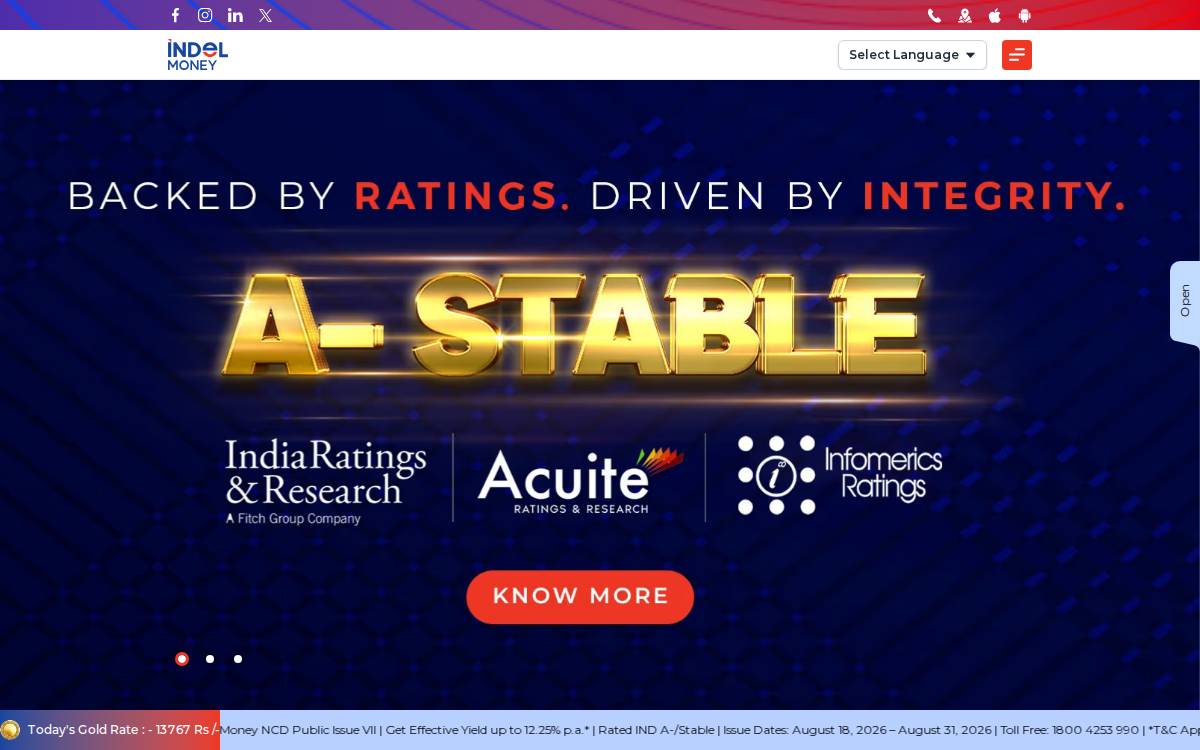 Indel Money website preview