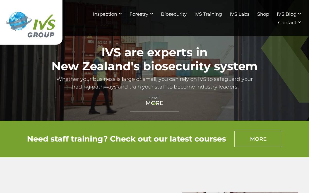 Independent Verification Services (IVS) website preview