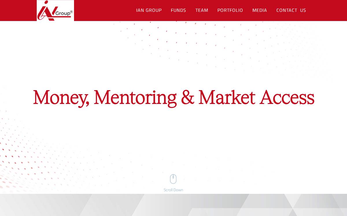 Indian Angel Network (IAN) website preview