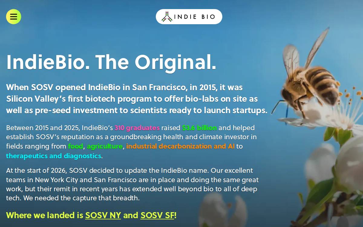 Indiebio website preview