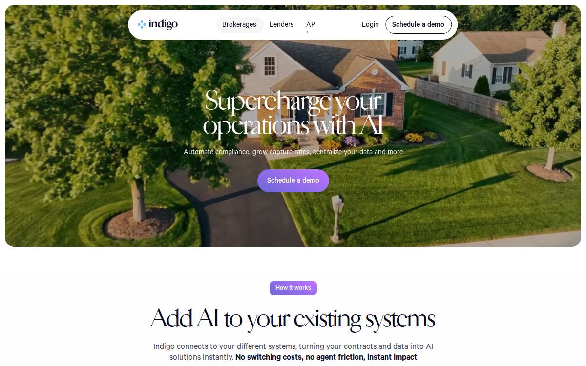 Indigo website preview