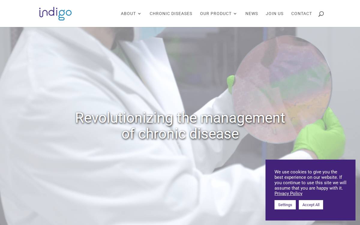 Indigomed website preview
