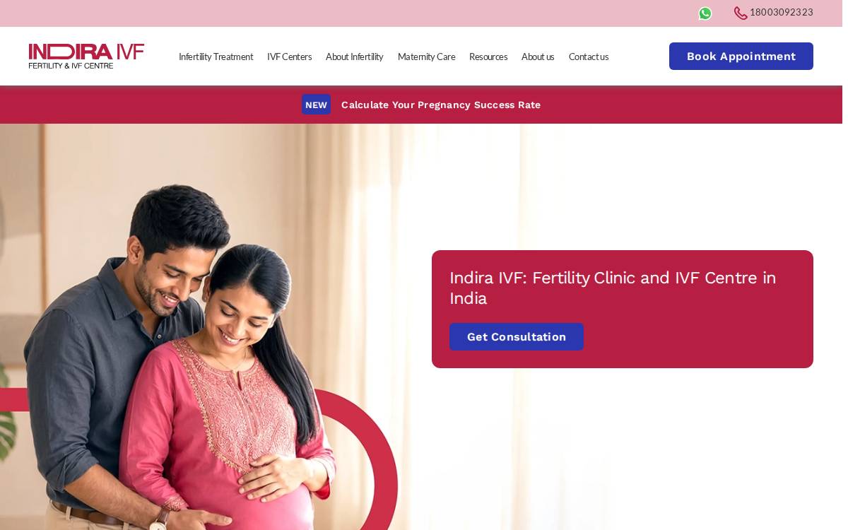 Indira IVF website preview