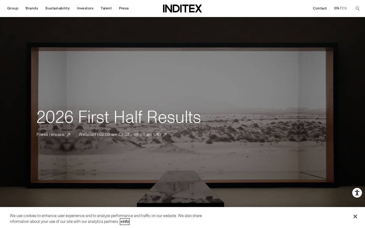 Inditex website preview