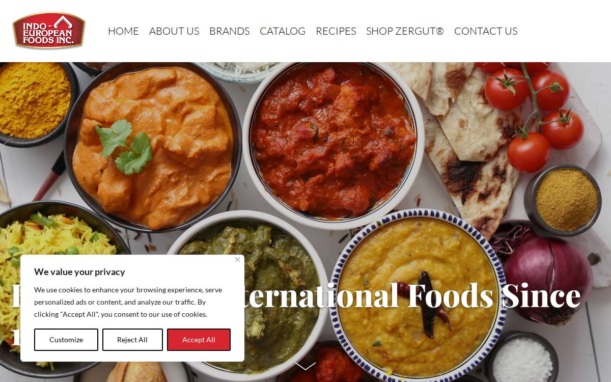 Indo Euro website preview