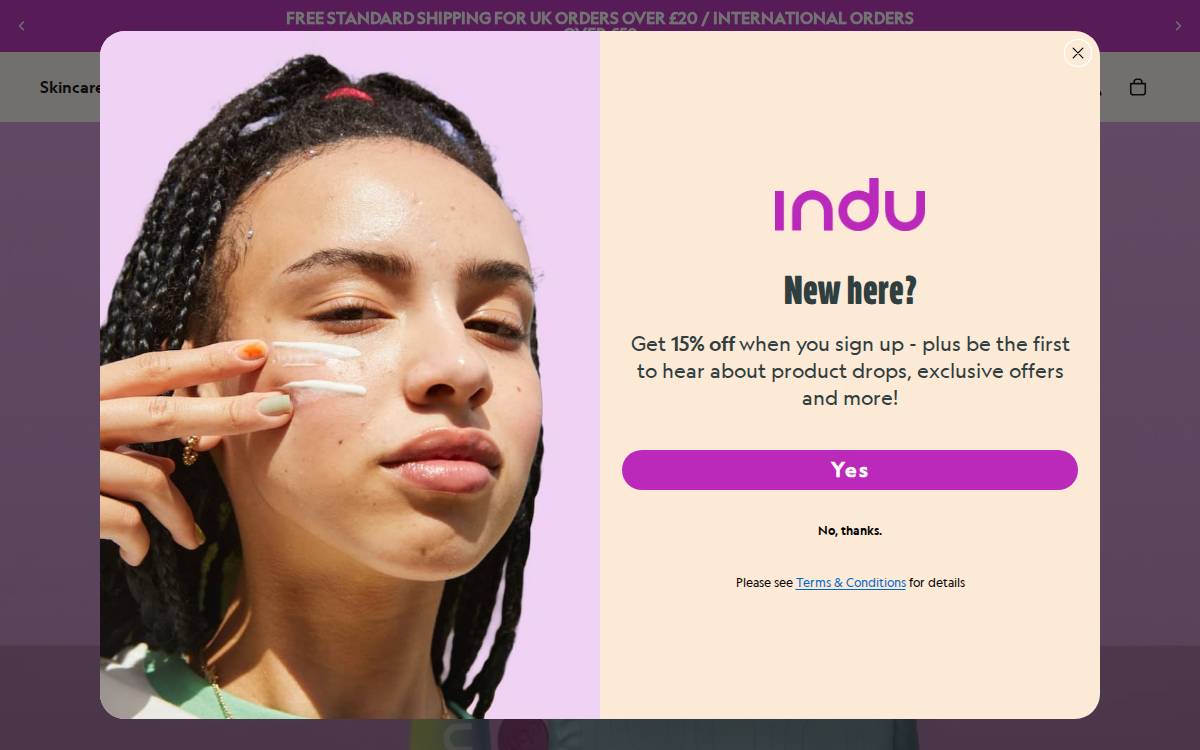 indu website preview