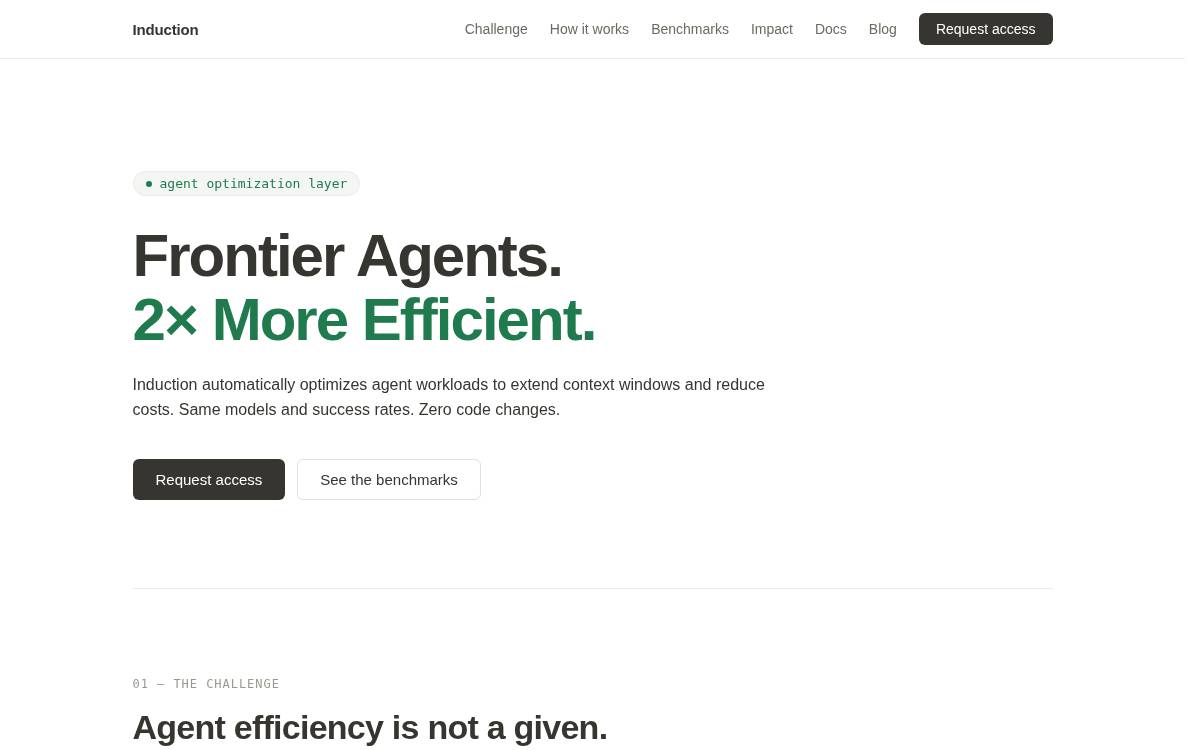 Induction website preview