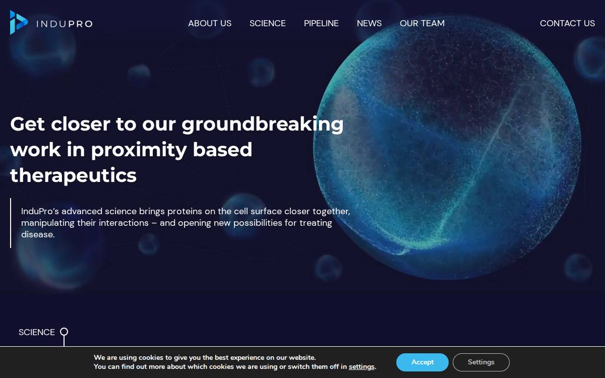 InduPro website preview