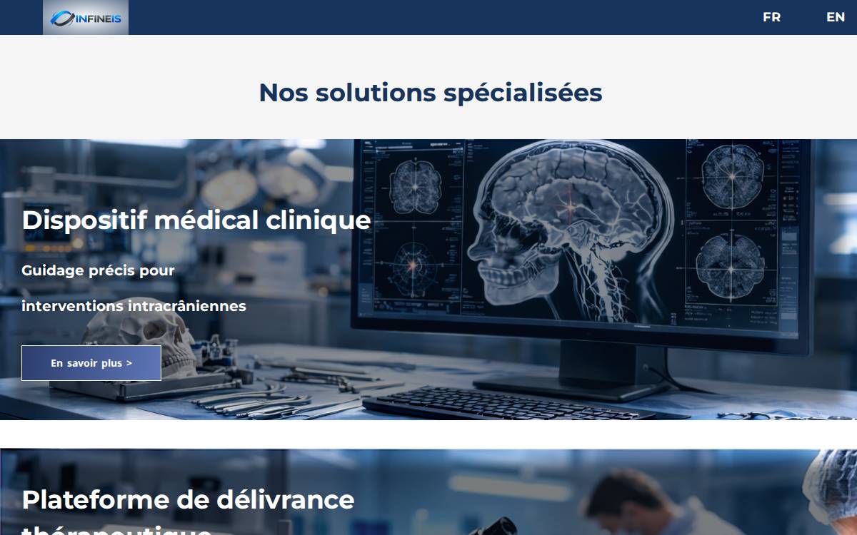 Infineis website preview